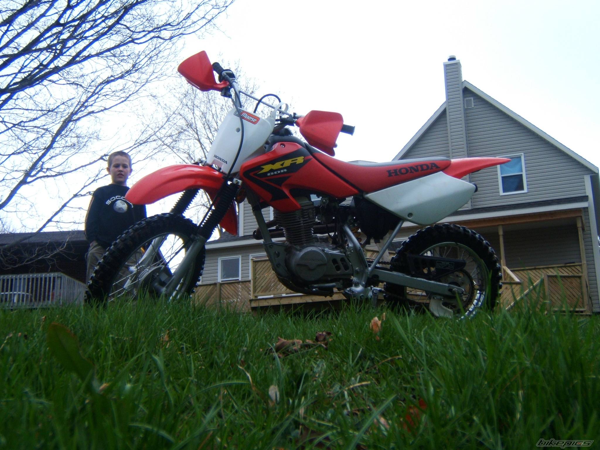 Photo 352026