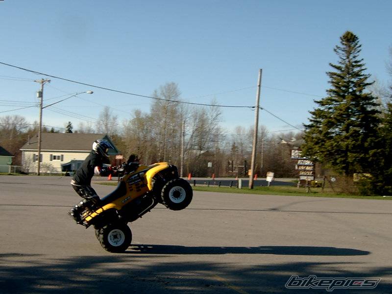 Photo 352046