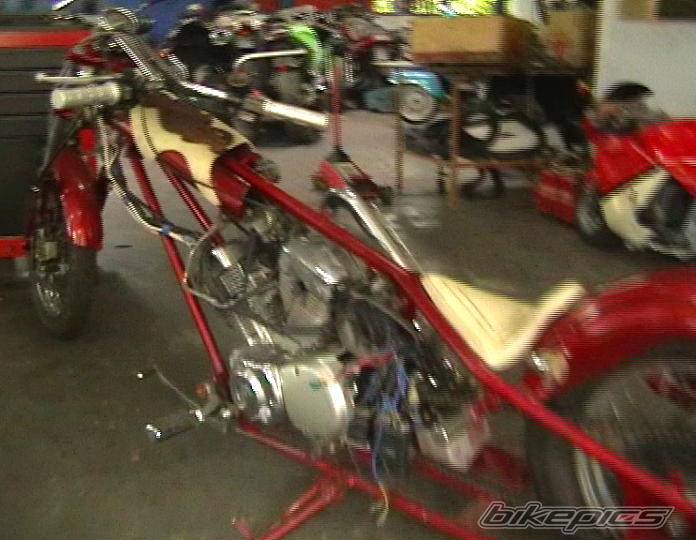 Photo 352133
