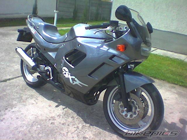 Photo 352273