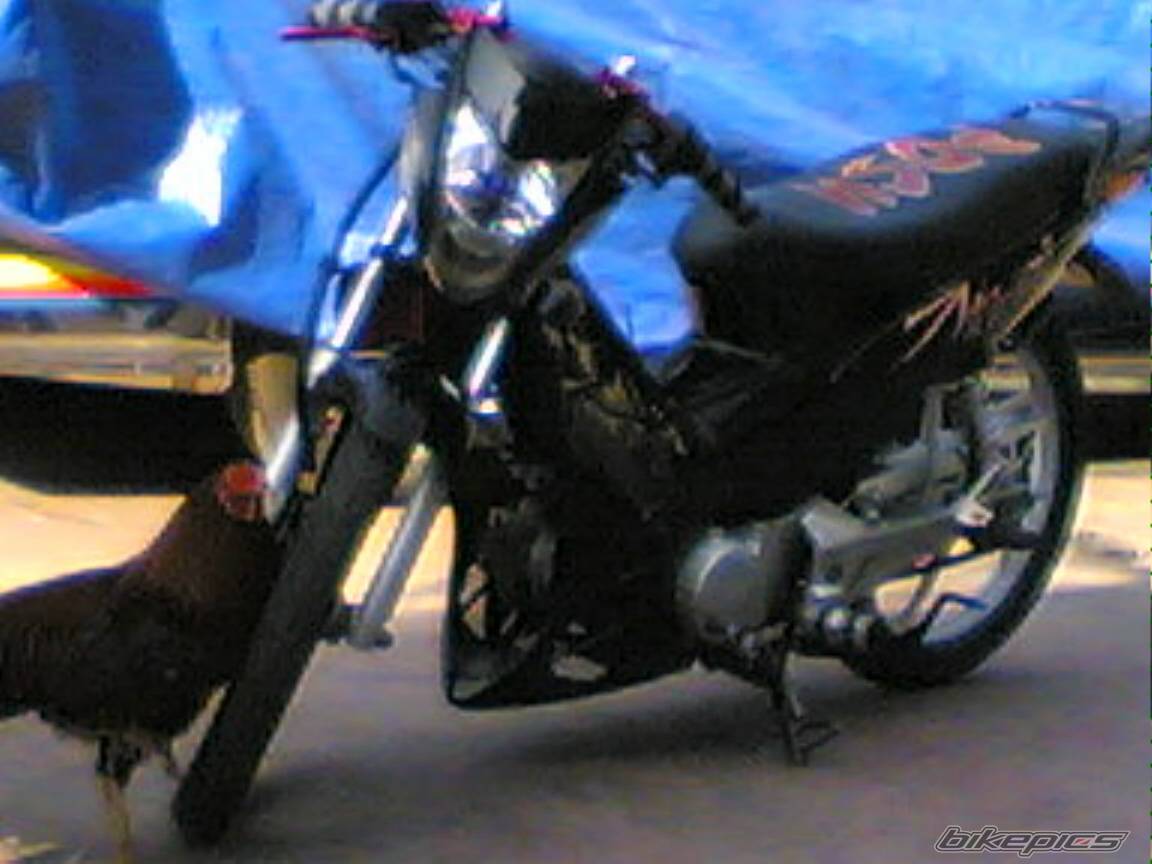 Bike Photo 352302
