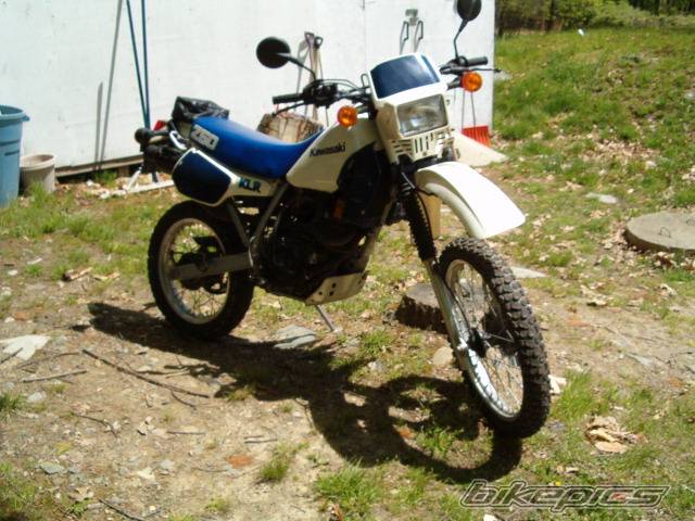 Photo 352326