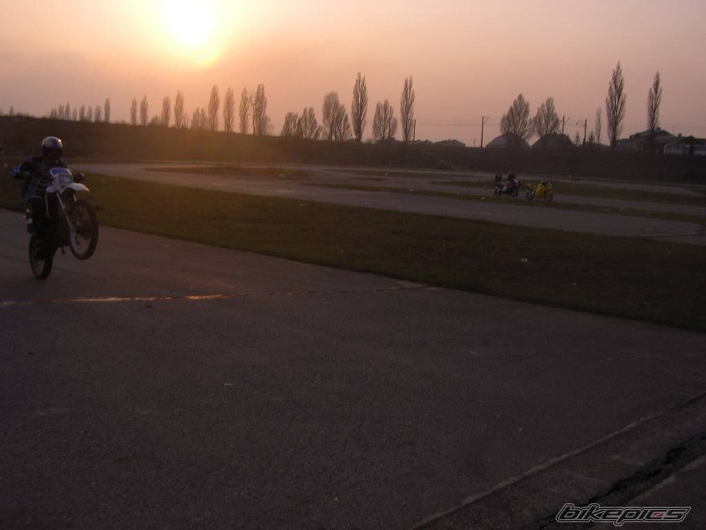 Photo 352331