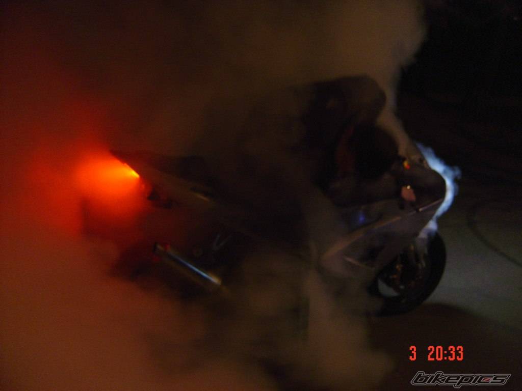 Photo 352488