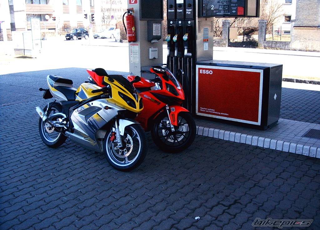 Photo 352523