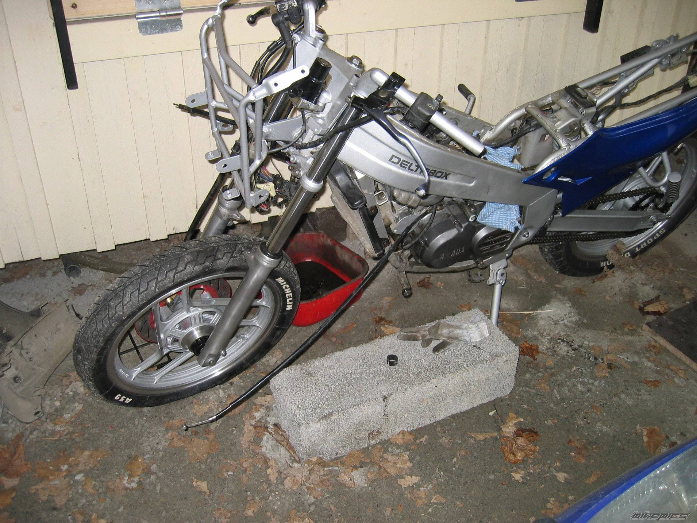 Bike Photo 352539