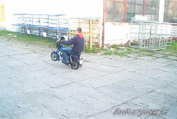 Photo 352562
