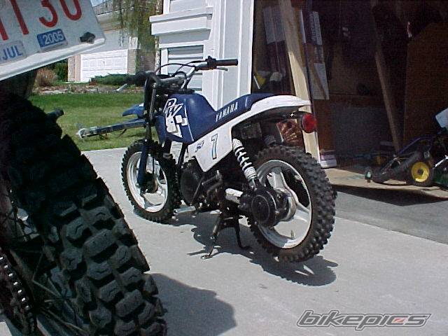Photo 352592