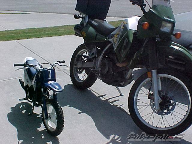 Photo 352598