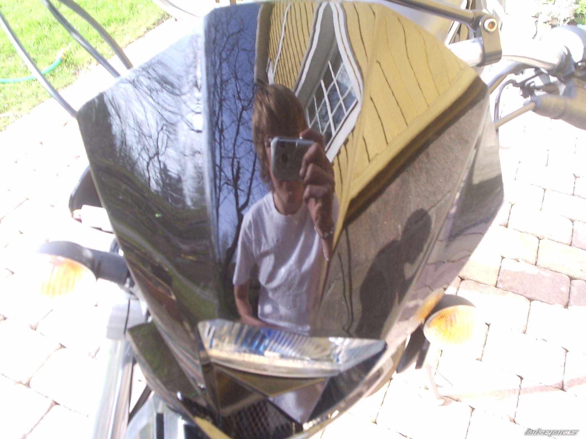 Photo 352641