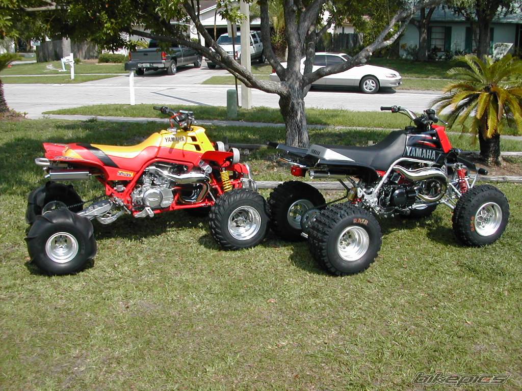 Photo 352654