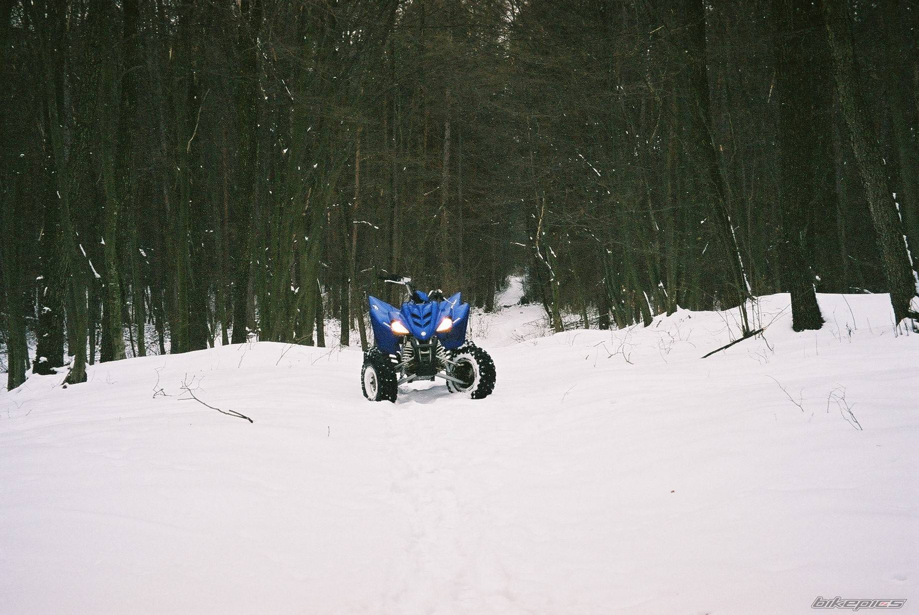 Photo 352669