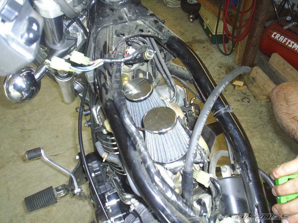 Photo 352726