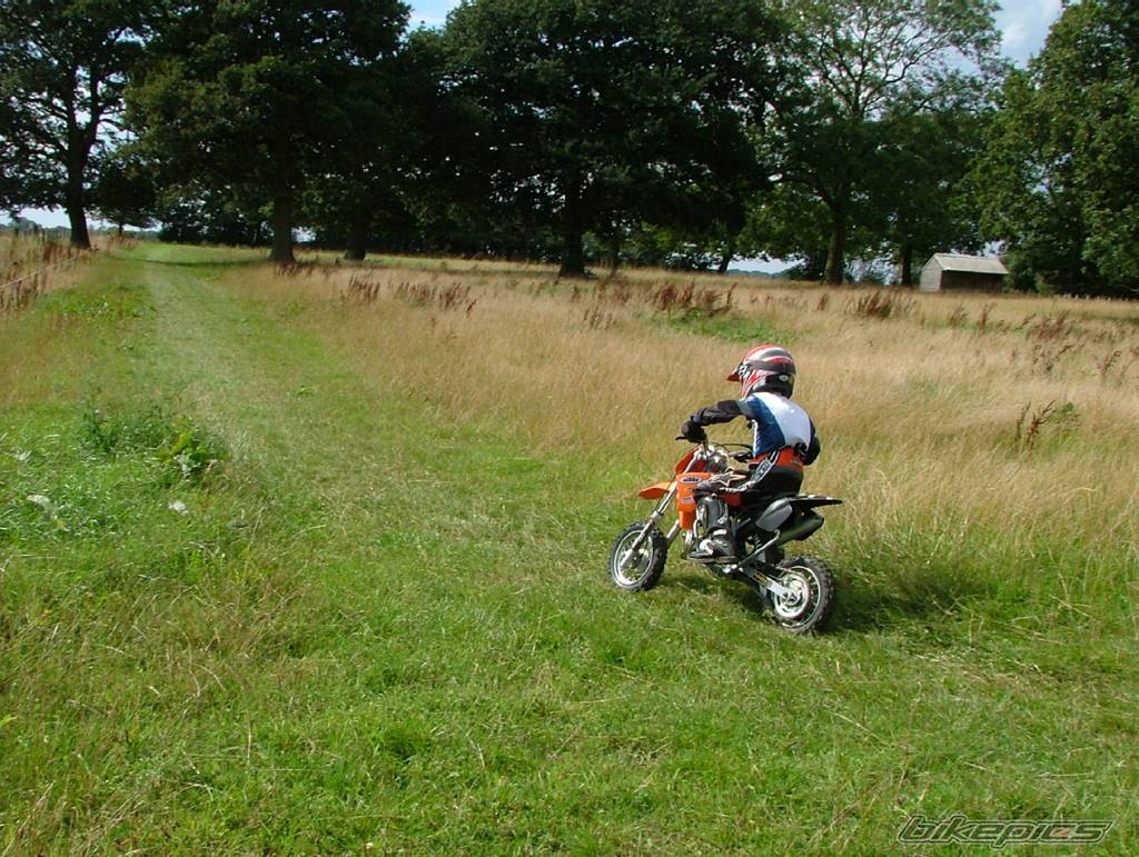 Bike Photo 352811