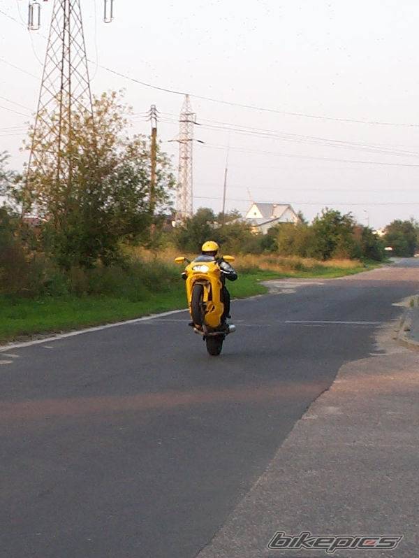 Photo 35282