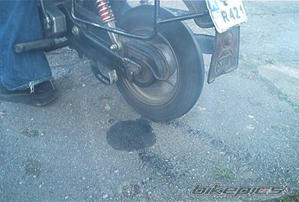 Photo 352907