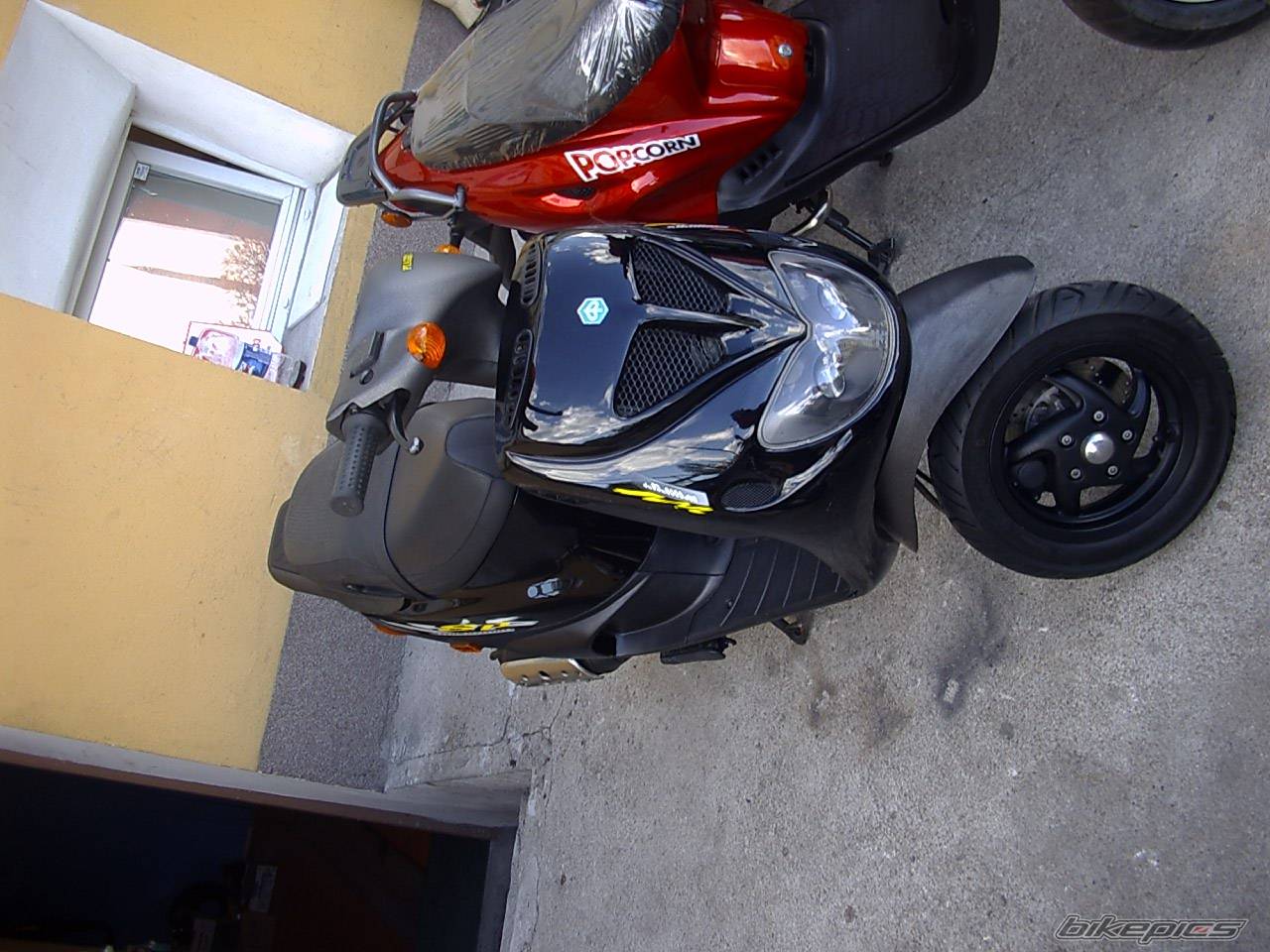 Photo 353189