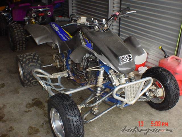 Photo 353259