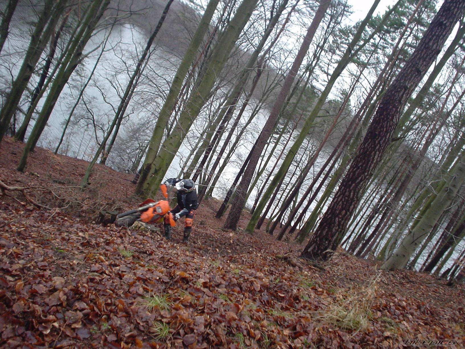 Bike Photo 353412
