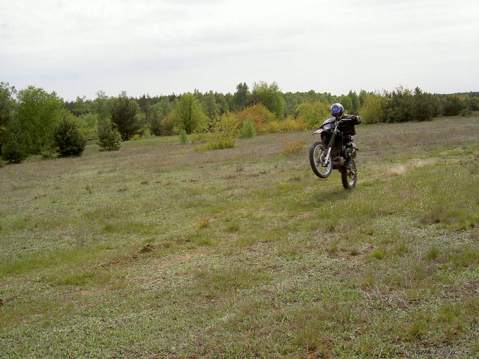 Photo 353461
