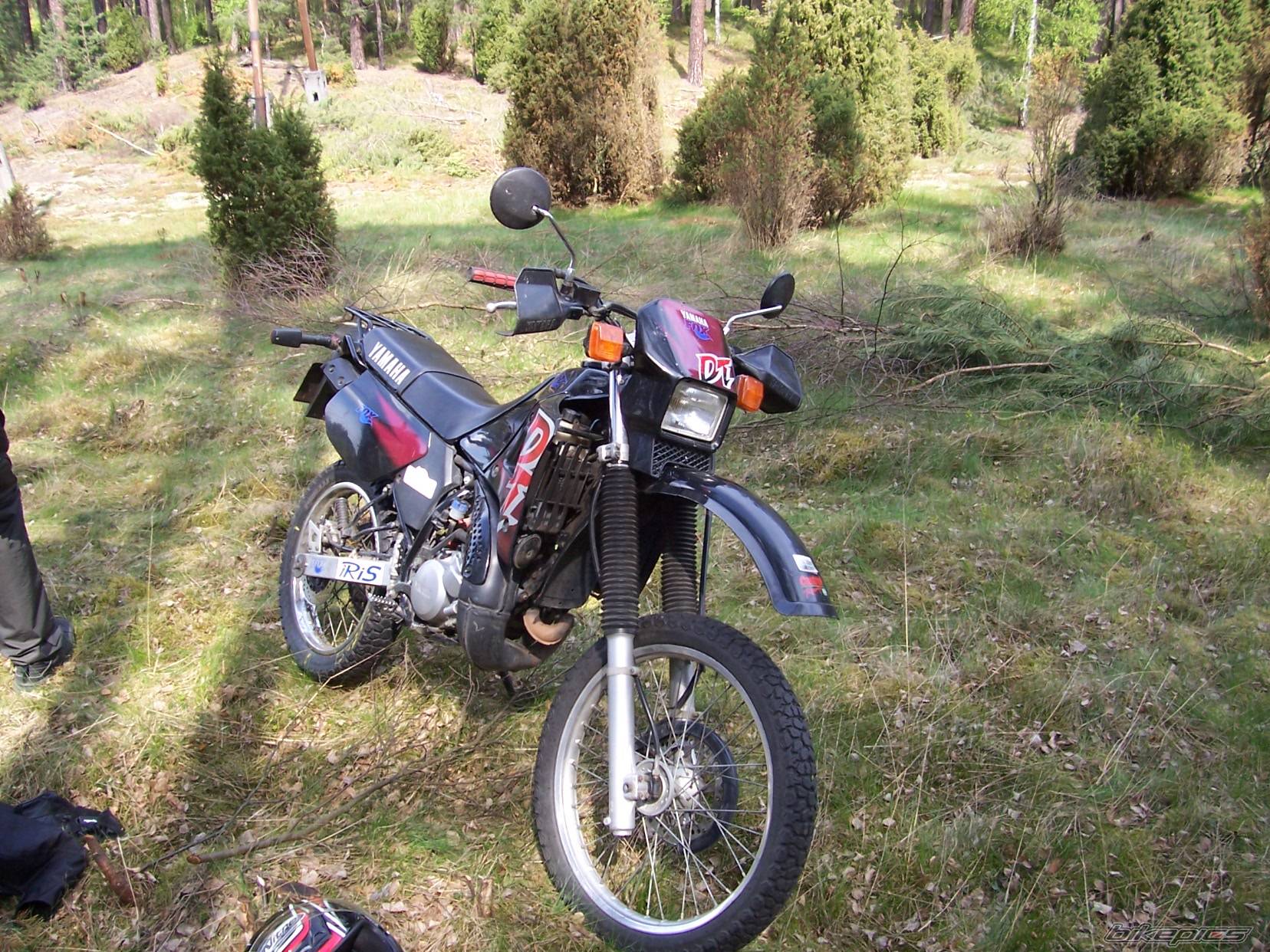 Photo 353483
