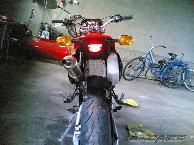Photo 353494