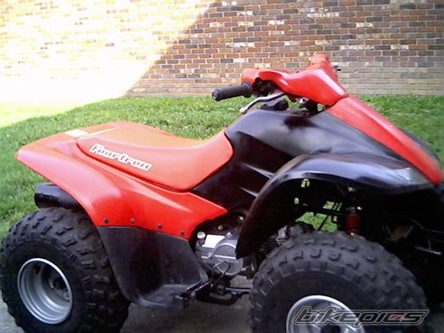 Photo 353525
