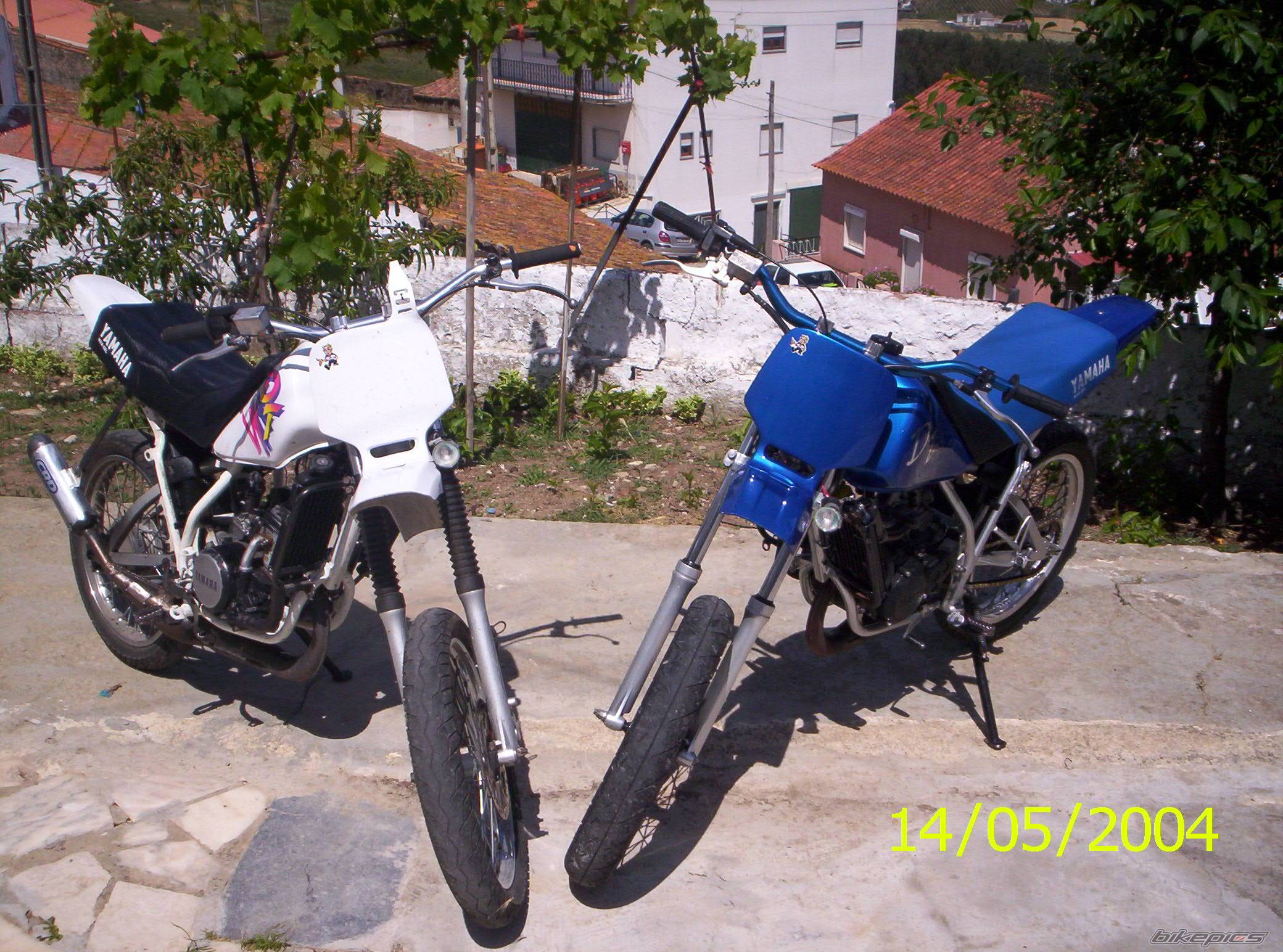 Photo 353561