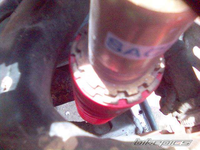 Bike Photo 353588