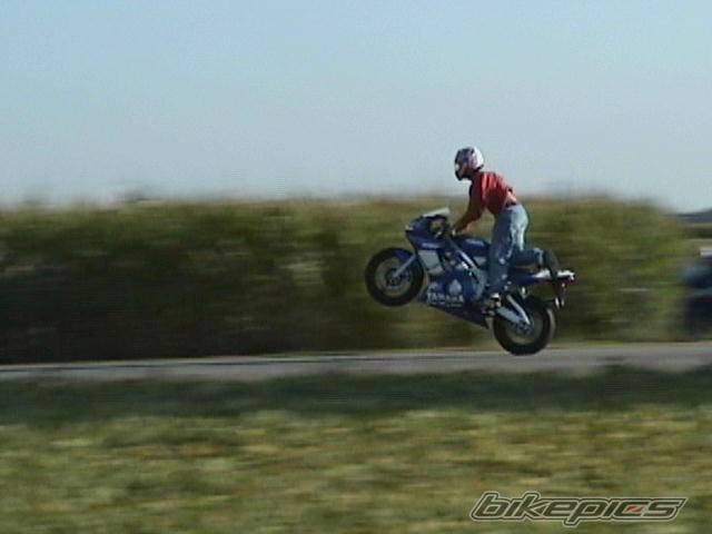 Photo 35359