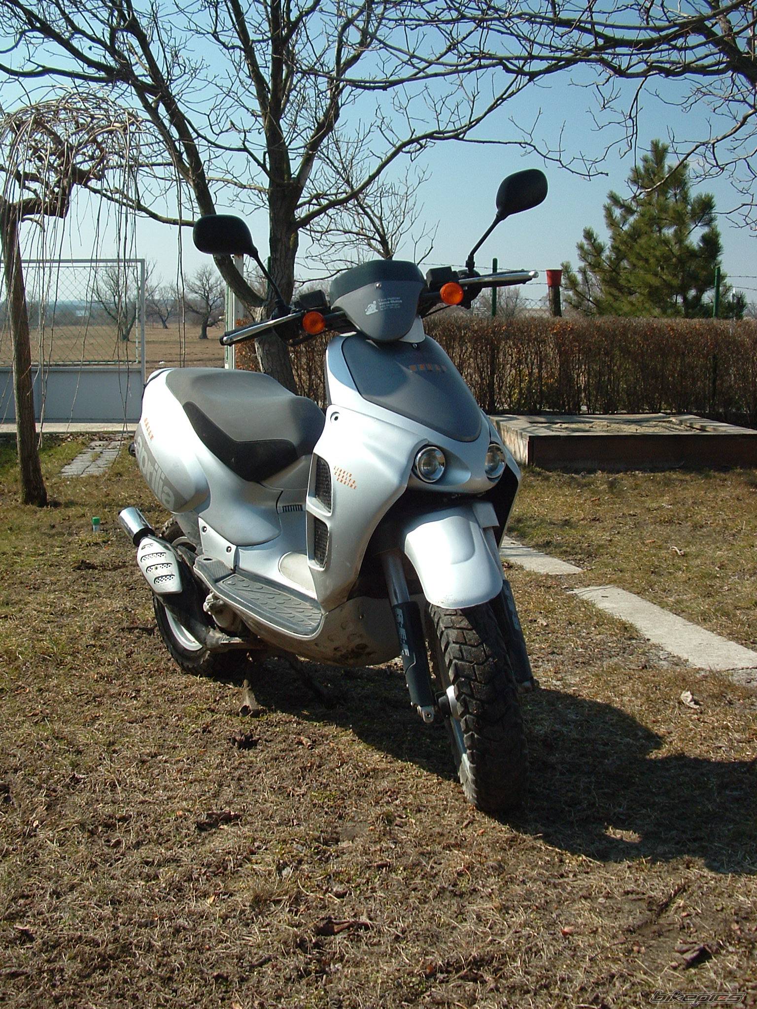 Photo 353699