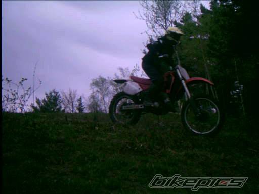 Photo 353710