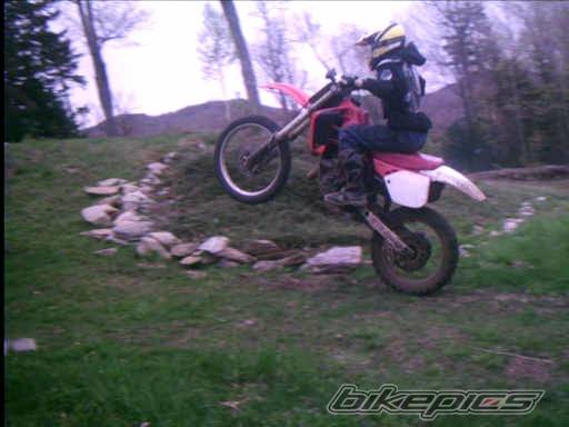 Photo 353719