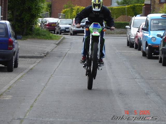 Photo 353740