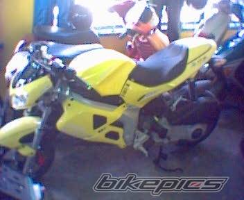 Photo 353779