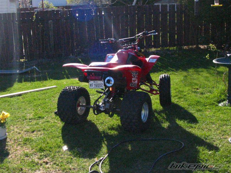 Photo 353823