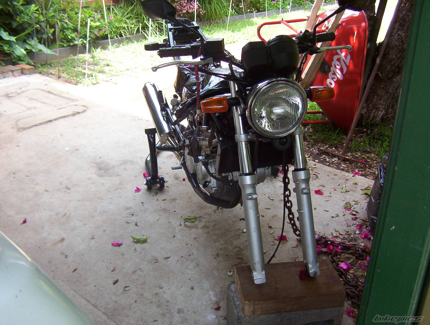 Bike Photo 353921
