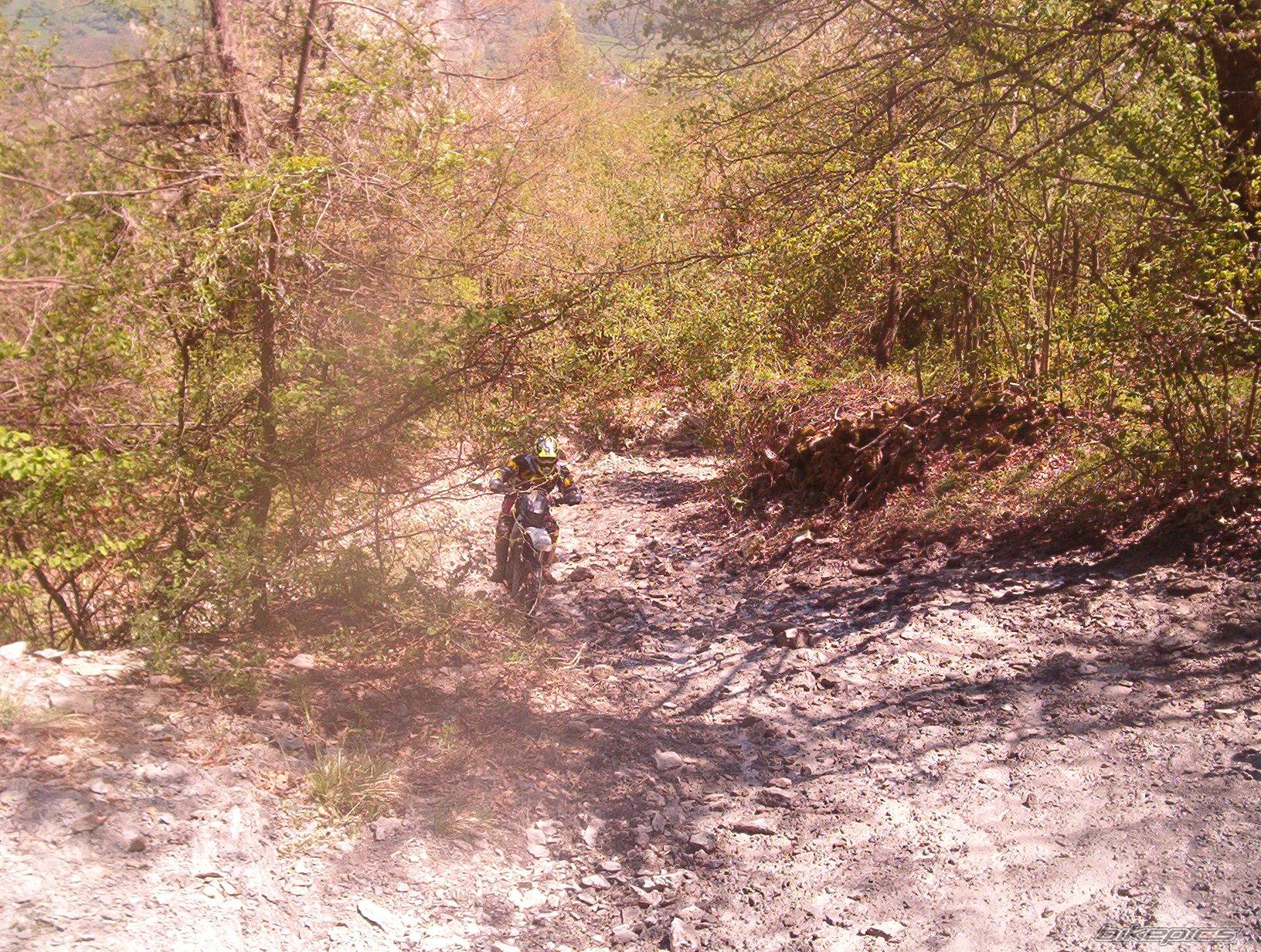 Bike Photo 353984