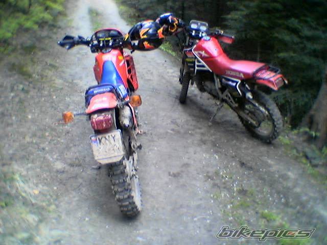 Bike Photo 353989