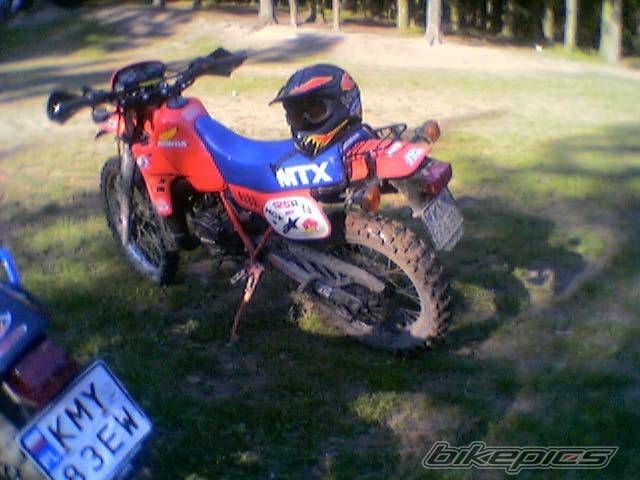 Photo 353991