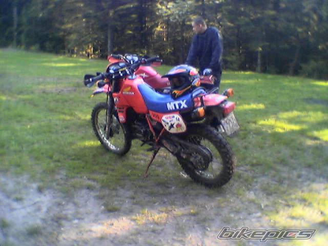 Photo 353993