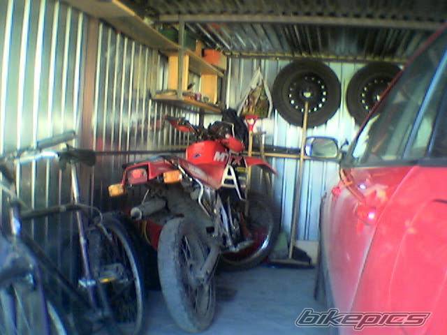 Photo 353998
