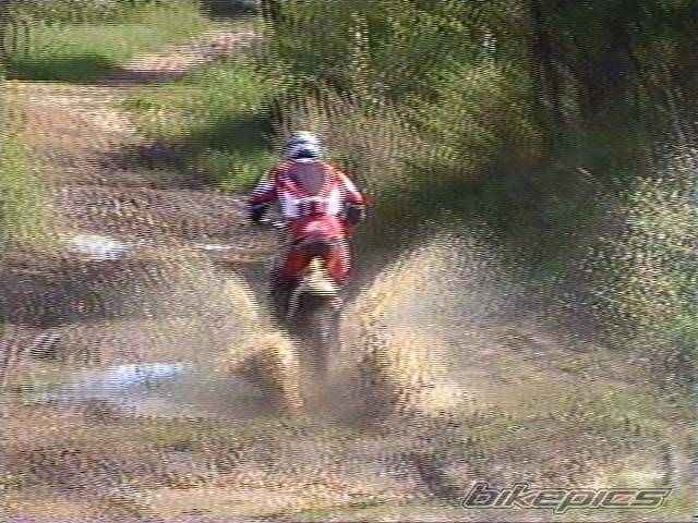Bike Photo 354028