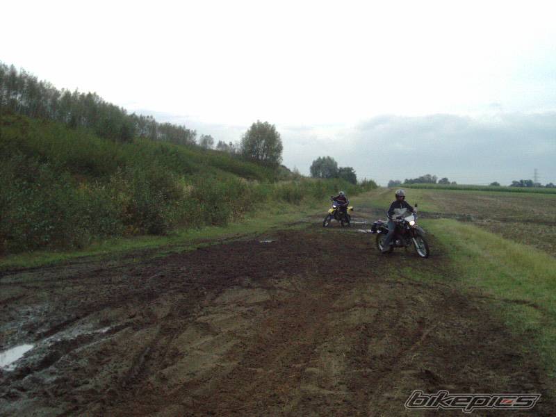 Photo 354057