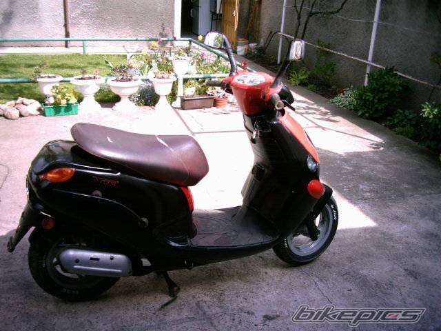 Photo 354277