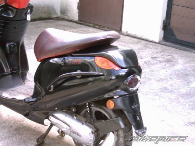 Photo 354279