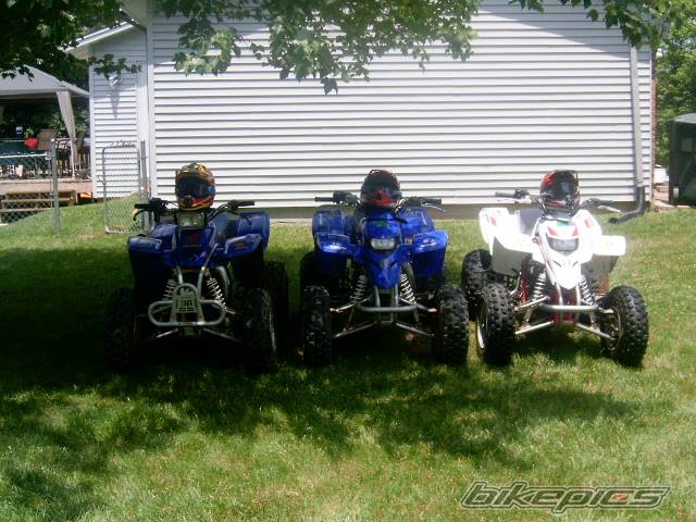 Photo 354302