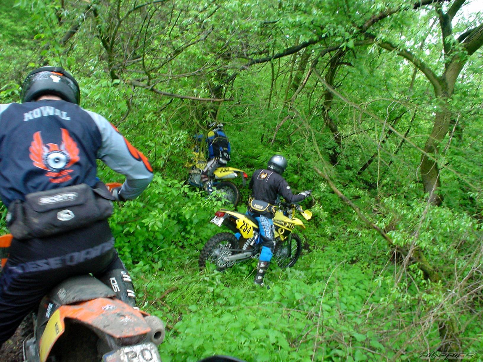 Bike Photo 354339