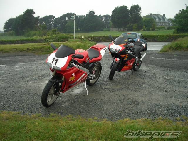 Photo 354356