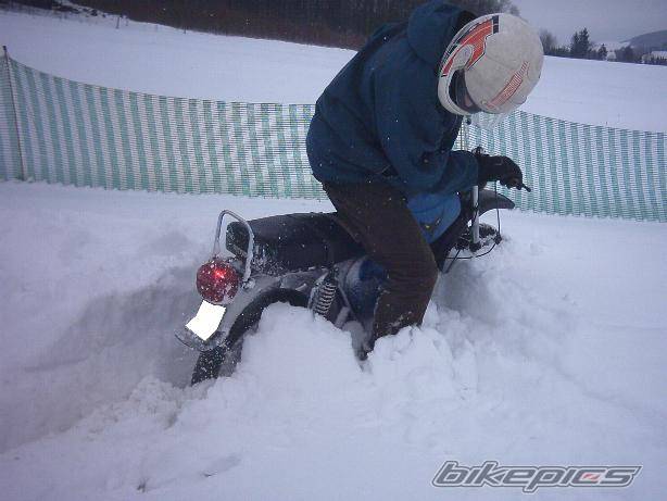 Photo 354509